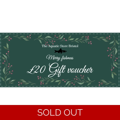 £20 Christmas gift voucher